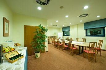Ramada Airport Hotel Prague**** - Cessna Meeting Room