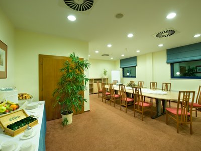 Ramada Airport Hotel Prague**** - Cessna Meeting Room