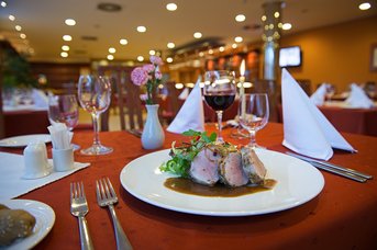 Ramada Airport Hotel Prague**** - Hotel-Restaurant